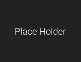 team-place-holder